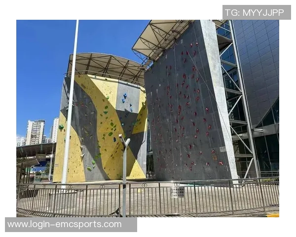 武汉攀岩队领跑全国运动攀岩最新状态TOP10榜单引发关注