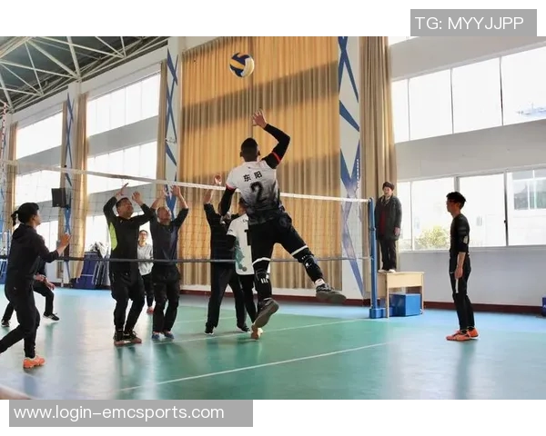 杨强独家分享排球技巧与心得助你提升球技的全面指南实时数据 杨强独家分享排球技巧与心得助你提升球技的全面指南实时数据