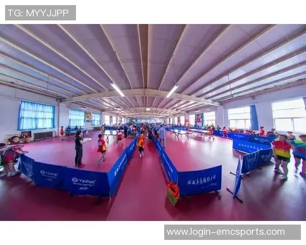 运动最新数据张敏回顾乒乓球生涯的辉煌与挑战分享她的成长与坚持之路 运动最新数据张敏回顾乒乓球生涯的辉煌与挑战分享她的成长与坚持之路